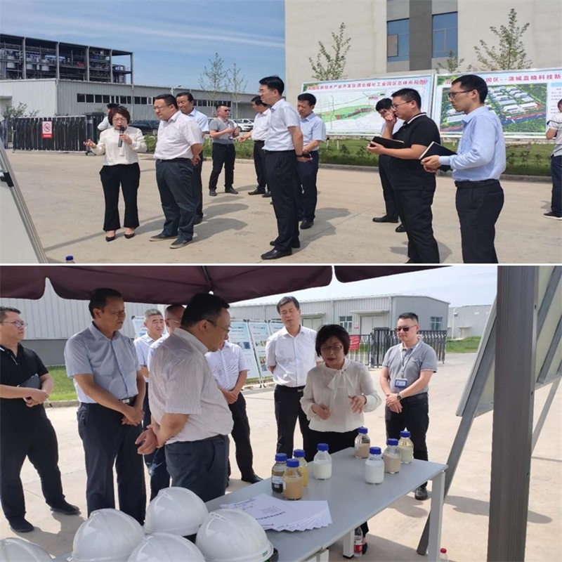 渭南市市长王琳一行调研蒲城pp电子新资料产业园项目